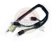 Проводка щитка приборов с лампочками (5 проводов) Альфа, "Zodiak"