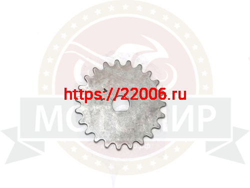 Шестерня маслонасоса GY6-125/150, FT150T 23 зуб. d9мм (052QMI0-070010000) (НАБОР) Шестерня маслонасоса GY6-125/150, FT150T 23 зуб. d9мм (052QMI0-070010000) (НАБОР)