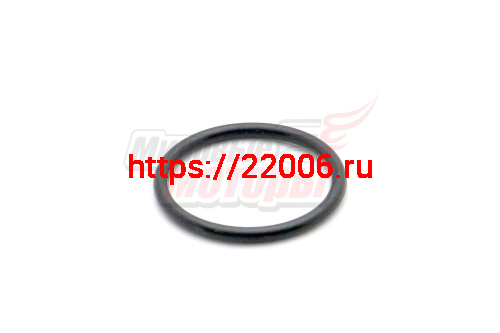 Кольцо уплотнительное 25x2.4 Alpha на проставку патрубка карб.