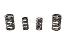 Пружины клапанов 170FMM (250cc) (2 малые+2 большие)
