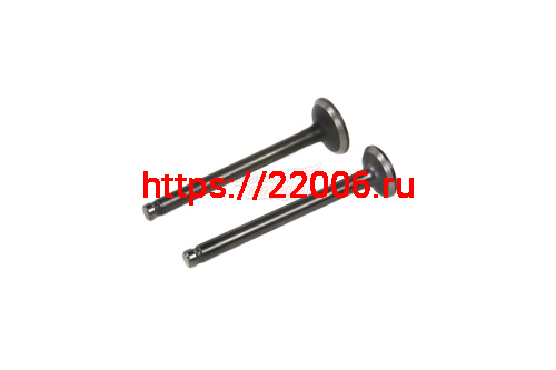 Клапаны (впуск/выпуск) 139QMB 50см3 (d18,5/16 l-64)
