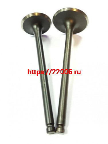 Клапана ГБЦ 166FMM TTR250 (CB250) впускной 32, выпускной 27(2 шт)