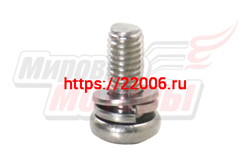 Винт М5х8 (с шайбой и гровер-шайбой), шаг резьбы 0,8 Винт М5х8 (с шайбой и гровер-шайбой), шаг резьбы 0,8